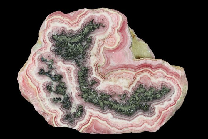 Rhodochrosite Stalactite Section with Pyrite - Argentina #150843